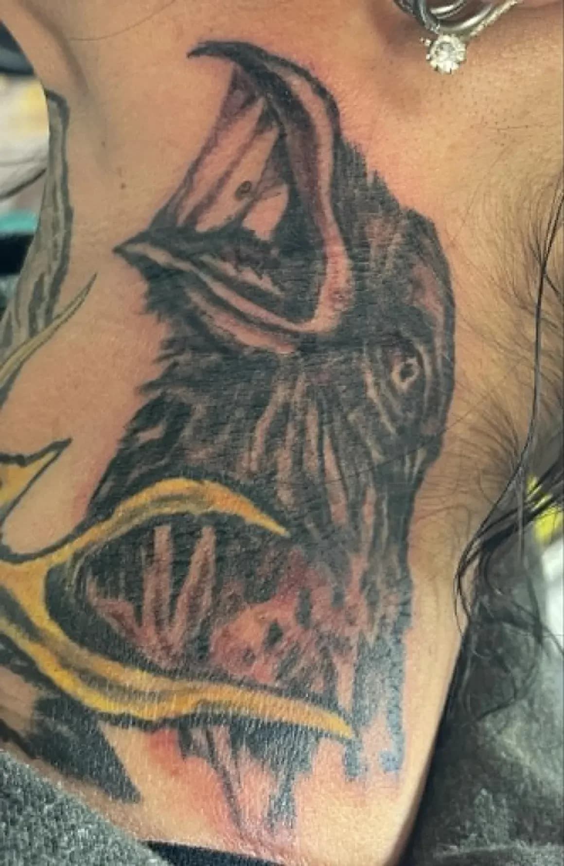 Tattoo work by Mountain State Tattoos — photo 2 of 8