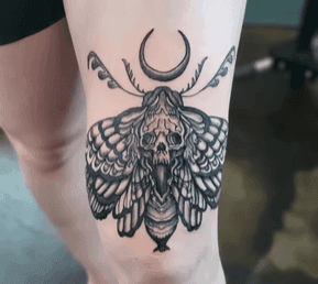 Gold Scarab Tattoo — tattoo shop in Seattle, WA — photo 1