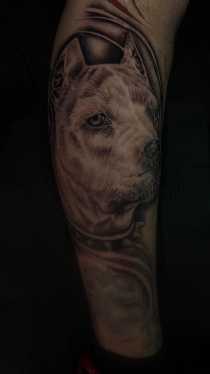 Tattoo work by Prevail Tattoo Studio — photo 3 of 6