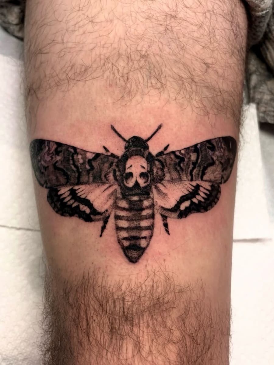 Tattoo work by Pain and Wonder Tattoo and Piercing Studio — photo 10 of 11