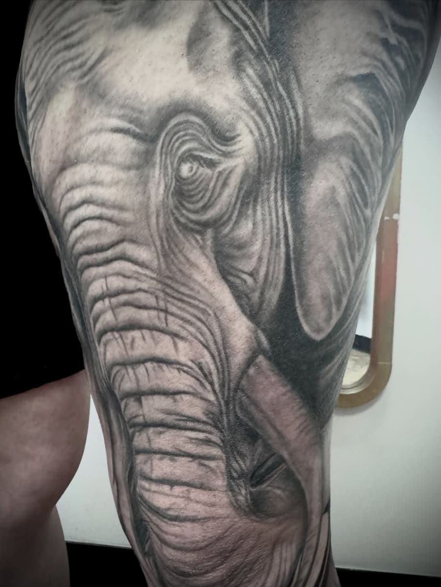 Tattoo work by Ink Sanctum Tattoo & Piercing — photo 6 of 7