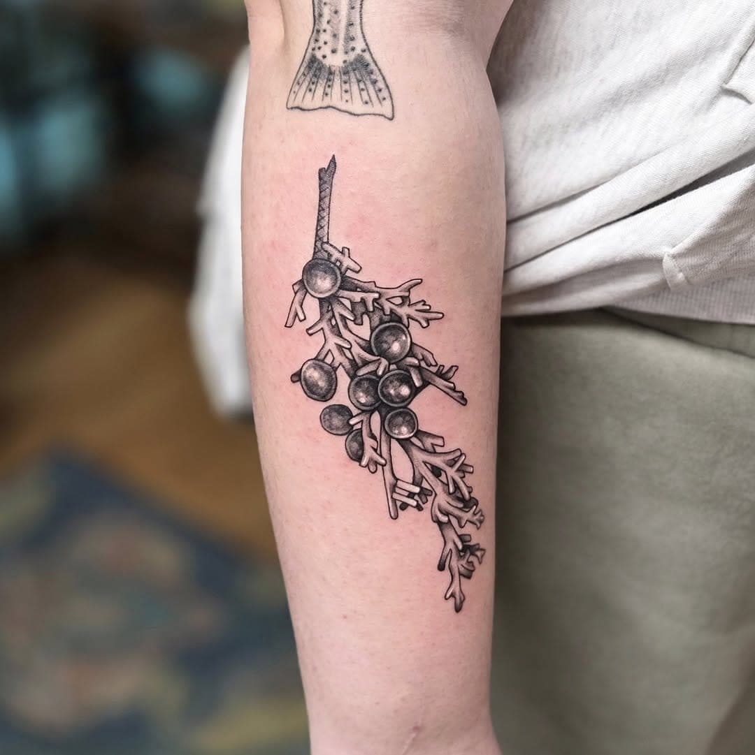 Tattoo work by Equilibrium Tattoo — photo 2 of 5