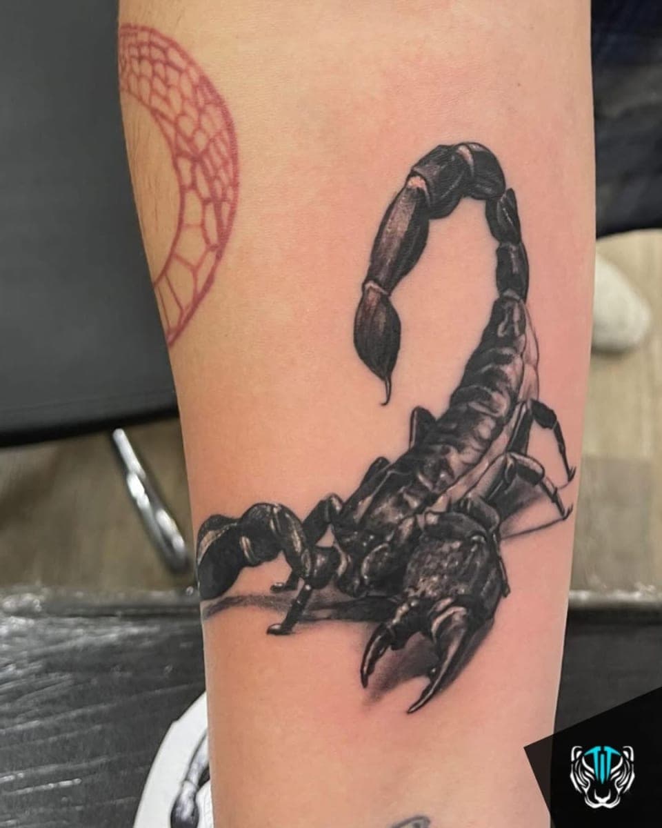 Tattoo work by Tiger Tattoos W Vine St. — photo 6 of 10